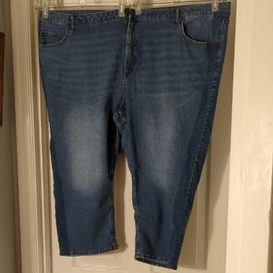 Catherines Light Blue Denim Jeans